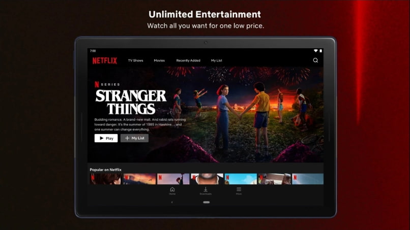 Netflix MOD APK 1